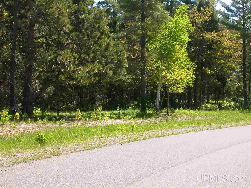 Tucked into the heart of charming Eagle Harbor, Lot 2 of Eagle - Beach Lot for sale in Eagle Harbor, Michigan on Beachhouse.com