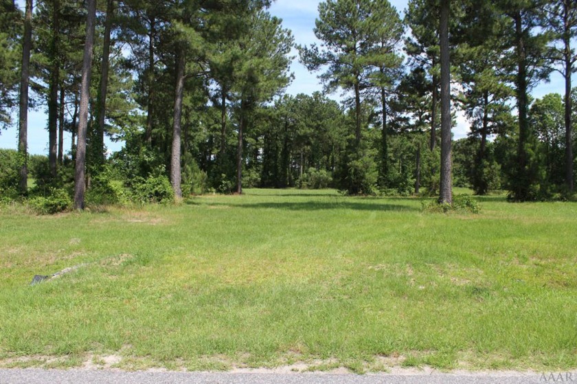 What a beautiful place to build a home on this partially wooded - Beach Acreage for sale in Hertford, North Carolina on Beachhouse.com
