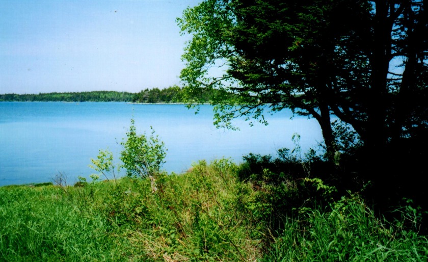 Buildable waterfront Lot with existing foundation, well and - Beach Acreage for sale in Addison, Maine on Beachhouse.com