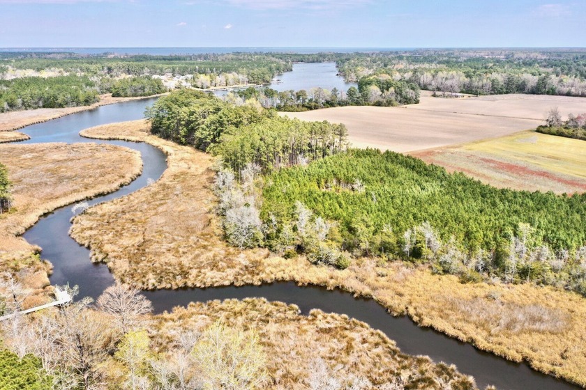 Many men go fishing all of their lives without knowing that it - Beach Acreage for sale in Havelock, North Carolina on Beachhouse.com