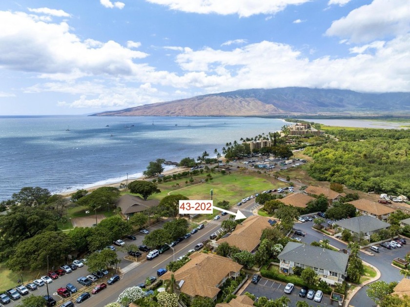 LOCATION, LOCATION, LOCATION! One of the rare units in Kihei - Beach Condo for sale in Kihei, Hawaii on Beachhouse.com
