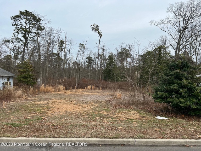 Oversized building lot tucked away in the quietest corner of - Beach Lot for sale in Ocean Gate, New Jersey on Beachhouse.com