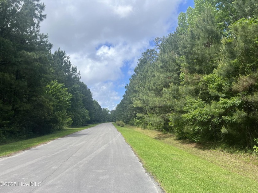 Welcome to the privacy and beauty of Baytree Landing! This - Beach Lot for sale in Havelock, North Carolina on Beachhouse.com