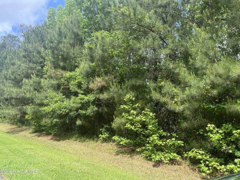 Welcome to the privacy and beauty of Baytree Landing! This - Beach Lot for sale in Havelock, North Carolina on Beachhouse.com