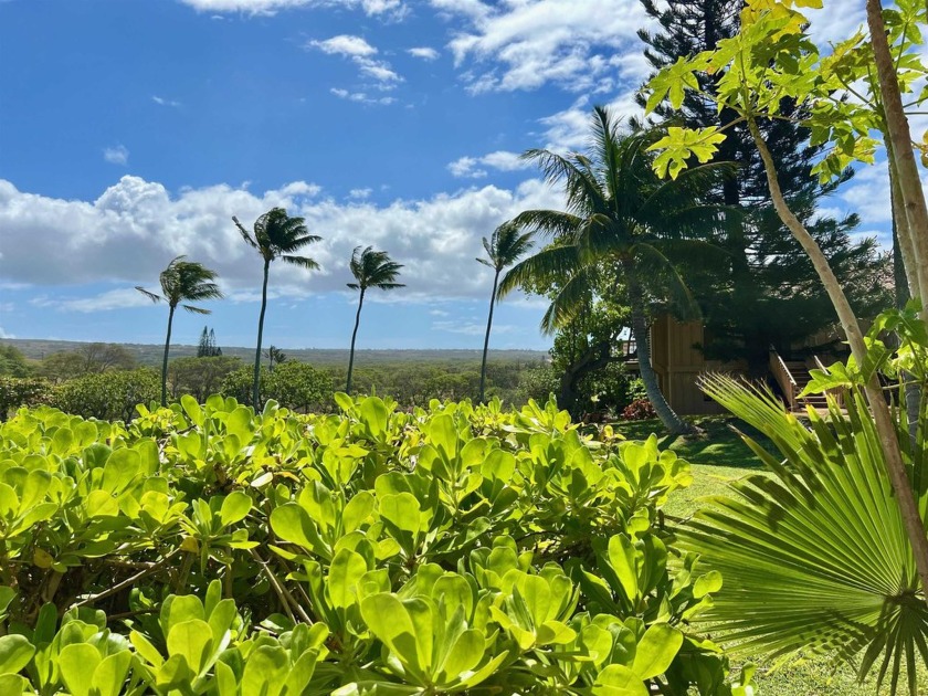 Beautiful, furnished, recently remodeled, 2 bedroom, 2 bath - Beach Condo for sale in Maunaloa, Hawaii on Beachhouse.com