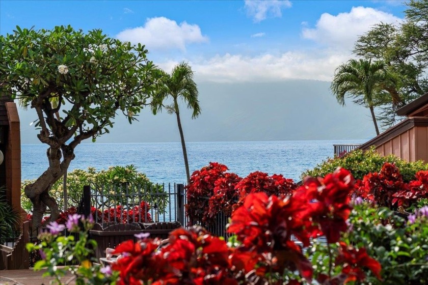 This stunning, ground level one-bedroom, one-bathroom unit in - Beach Condo for sale in Lahaina, Hawaii on Beachhouse.com