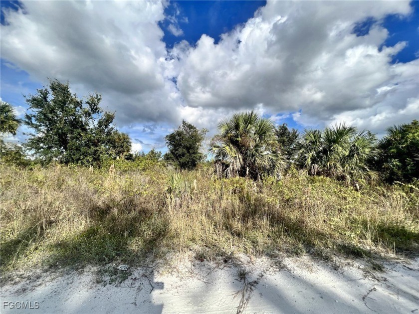 Gulf access lot located in a very nice secluded area near new - Beach Lot for sale in Punta Gorda, Florida on Beachhouse.com