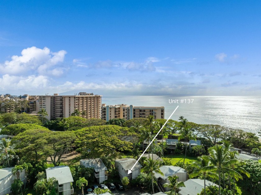 Pohailani 137 is a freshly renovated 2-bedroom, 1-bath condo - Beach Condo for sale in Lahaina, Hawaii on Beachhouse.com