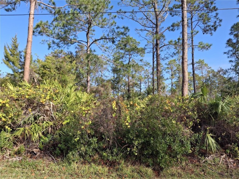 Build your dream home on this oversized wooded lot in the - Beach Lot for sale in Palm Coast, Florida on Beachhouse.com