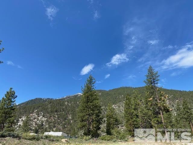 Clear Creek Tahoe is Northern Nevada's most exciting new - Beach Lot for sale in Carson City, Nevada on Beachhouse.com