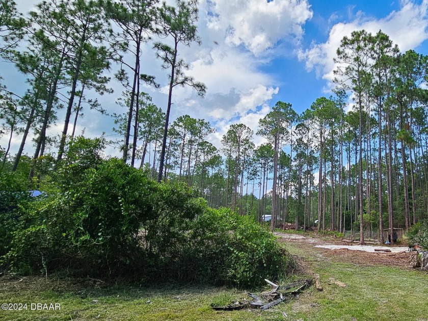 Located just minutes from Bull Creek Campground, this spacious - Beach Lot for sale in Bunnell, Florida on Beachhouse.com