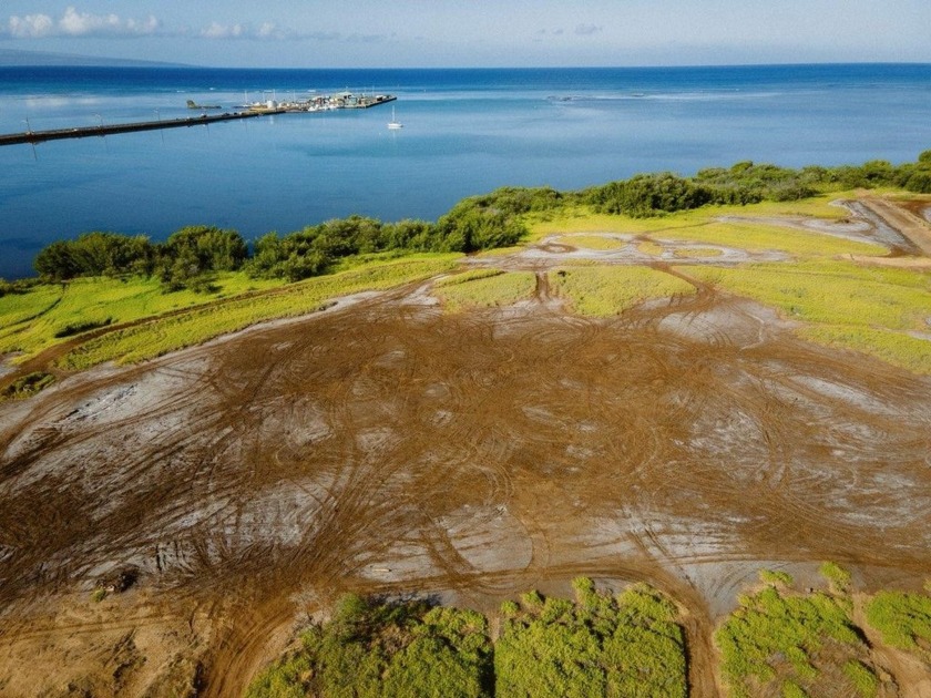 Green initiative opportunity in the heart of Molokai!  This 23 - Beach Acreage for sale in Kaunakakai, Hawaii on Beachhouse.com