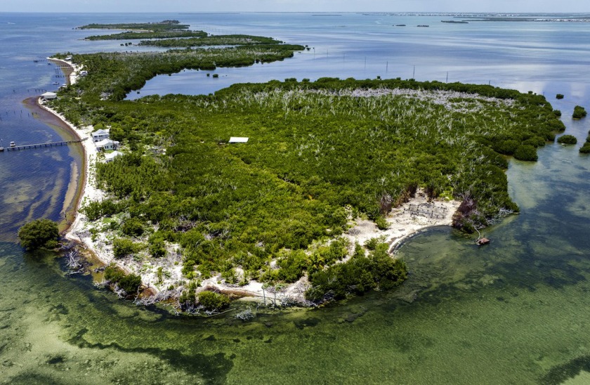 Here is your opportunity to REALLY live the dream! Located just - Beach Lot for sale in Big Pine Key, Florida on Beachhouse.com