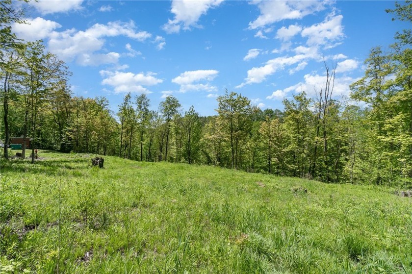 The property is a picturesque 3-acre parcel offering a blend of - Beach Lot for sale in Wolcott, New York on Beachhouse.com