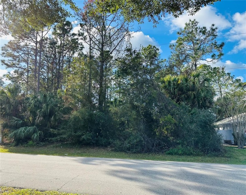 Prime Duplex Opportunity at 29 Providence Lane!
Seize the chance - Beach Lot for sale in Palm Coast, Florida on Beachhouse.com