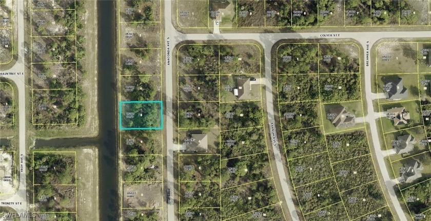 Side by side lots on Anaconda Ave located close to Bell Blvd and - Beach Lot for sale in Lehigh Acres, Florida on Beachhouse.com