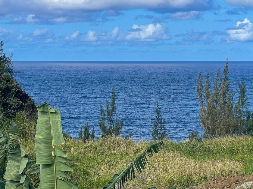 RARE ONE ACRE HAMAKUA OCEANFRONT PARCEL FOR ONLY $399 - Beach Lot for sale in Ninole, Hawaii on Beachhouse.com