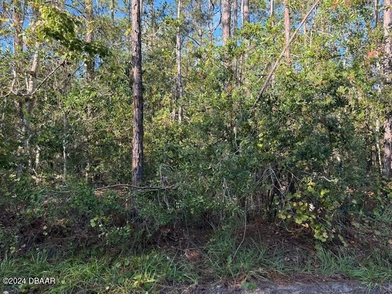 1.25 acres centrally located in New Smyrna Beach. Information is - Beach Lot for sale in New Smyrna Beach, Florida on Beachhouse.com