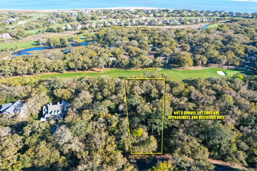 From FEMA records, this is an X Zone property on Seabrook - Beach Lot for sale in Seabrook Island, South Carolina on Beachhouse.com