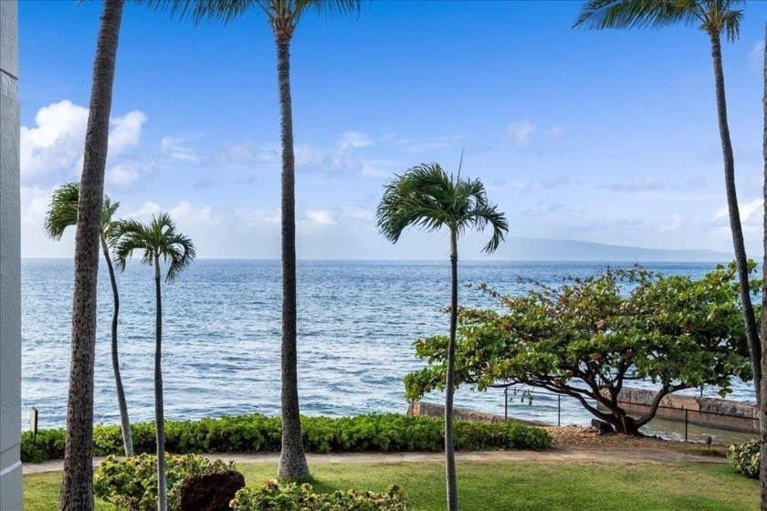 Welcome to Ka'anapali Shores 204--a HOTEL ZONED, beautifully - Beach Condo for sale in Lahaina, Hawaii on Beachhouse.com