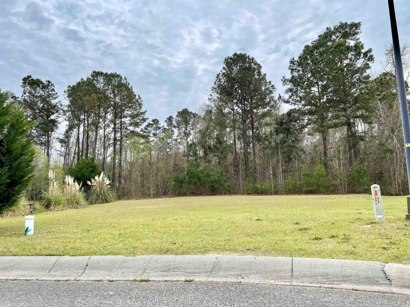 BIGGEST lot in Little River Estates - 0.99 Acres!  No timeframe - Beach Lot for sale in Little River, South Carolina on Beachhouse.com
