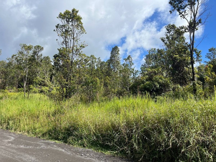 Great opportunity to own a 3 acre parcel of Ohia forest in Fern - Beach Acreage for sale in Volcano, Hawaii on Beachhouse.com