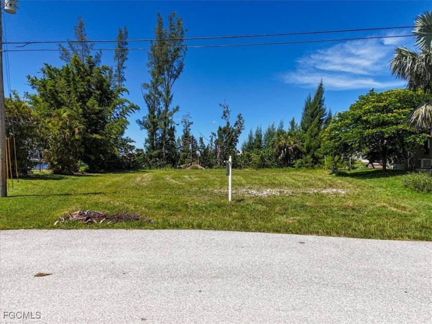 Paradise Awaits! Imagine waking up to expansive intersecting - Beach Lot for sale in Cape Coral, Florida on Beachhouse.com