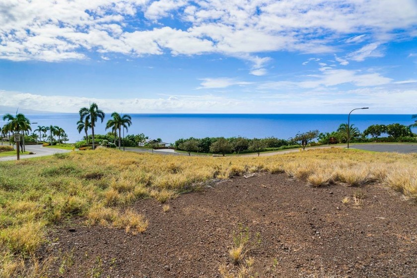 Amazing custom plans have been approved and you could be ready - Beach Lot for sale in Kamuela, Hawaii on Beachhouse.com
