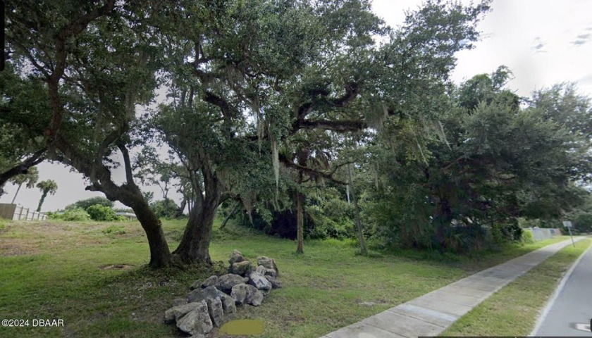 Nestled under a canopy of lush native foliage, this expansive - Beach Lot for sale in New Smyrna Beach, Florida on Beachhouse.com