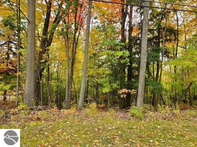 BEAUTIFUL LOT, mostly wooded, with great amenities, including - Beach Lot for sale in Tawas City, Michigan on Beachhouse.com