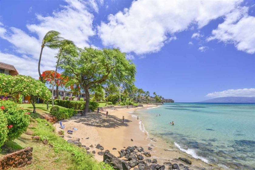 Welcome to Unit 605 at the Kuleana Resort, a true hidden jewel - Beach Condo for sale in Lahaina, Hawaii on Beachhouse.com