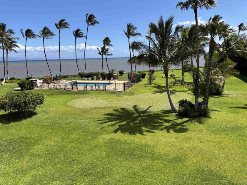 Oceanfront, one bedroom, one bathroom condo with a bonus - Beach Condo for sale in Kaunakakai, Hawaii on Beachhouse.com