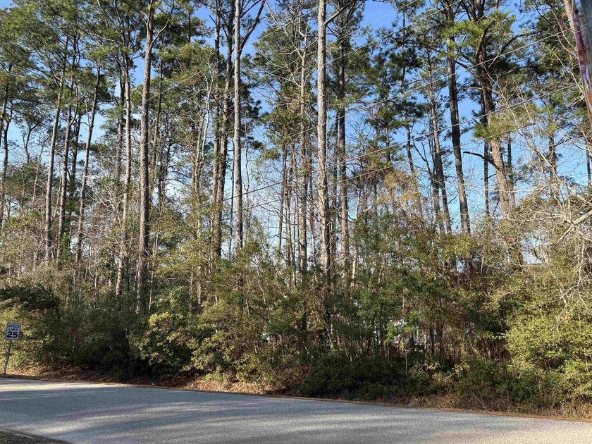 Wonderful opportunity to build your dream home in the desirable - Beach Lot for sale in Pawleys Island, South Carolina on Beachhouse.com