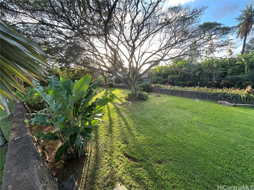 Incredible level Lot, Ocean Side of Highway and just a few steps - Beach Lot for sale in Haleiwa, Hawaii on Beachhouse.com