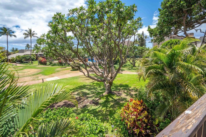 Live the Maui lifestyle in this beautifully updated 3-bedroom 2 - Beach Condo for sale in Kihei, Hawaii on Beachhouse.com