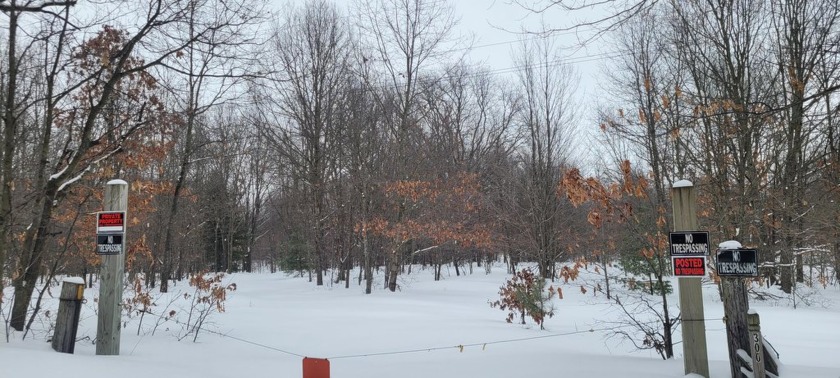 Rolling 20 acres in quiet, scenic eastern golden township - Beach Acreage for sale in Mears, Michigan on Beachhouse.com