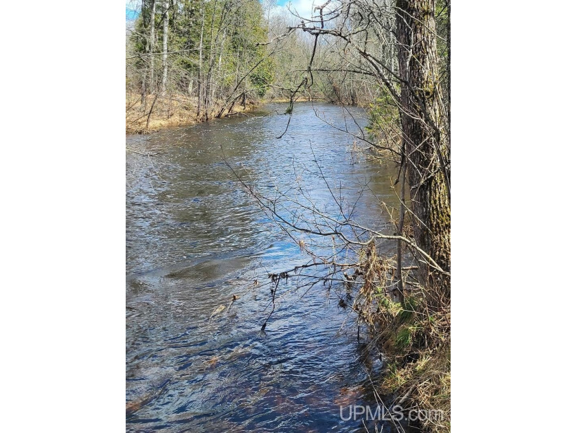 Private Rolling 3.5+ acres on the East Branch of the Sturgeon R - Beach Acreage for sale in Hardwood, Michigan on Beachhouse.com