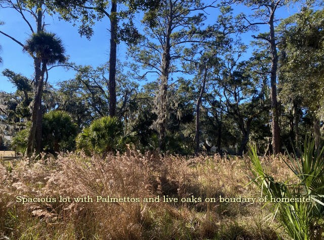 Enjoy the best of all worlds! Don't miss this dream homesite - Beach Lot for sale in Edisto Beach, South Carolina on Beachhouse.com