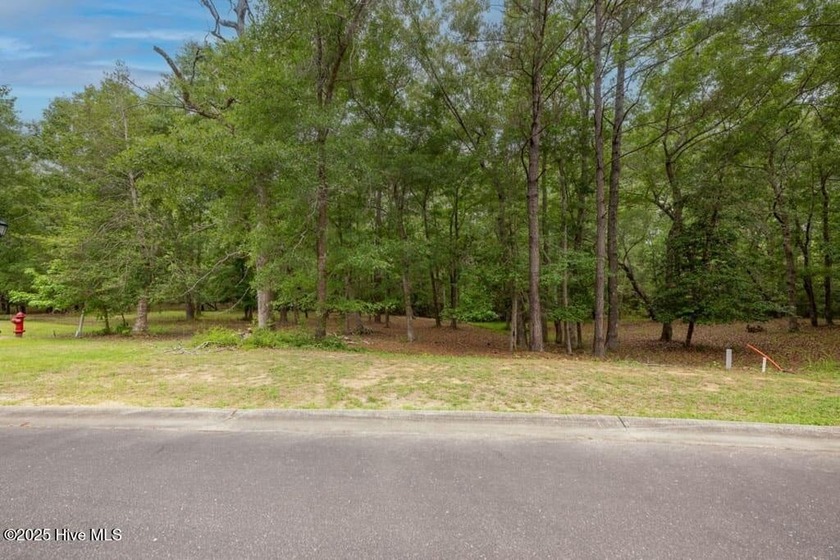 Discover the perfect spot to build your dream home on this - Beach Lot for sale in Shallotte, North Carolina on Beachhouse.com
