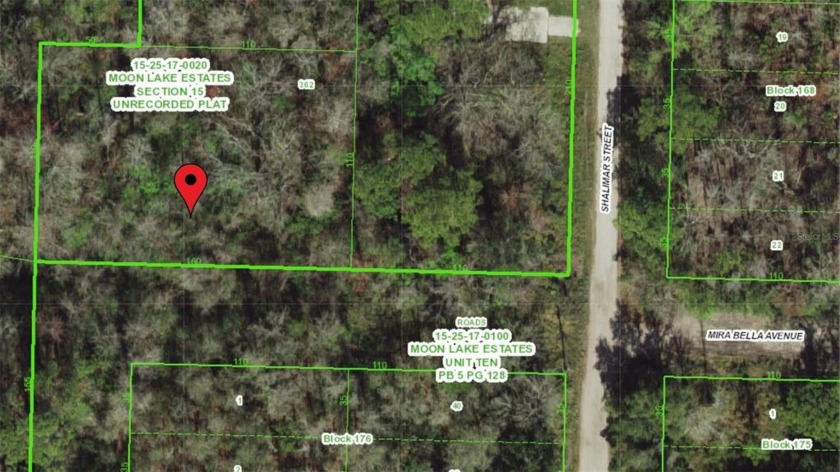 Discover a unique opportunity to own land in the rural Moon Lake - Beach Lot for sale in New Port Richey, Florida on Beachhouse.com