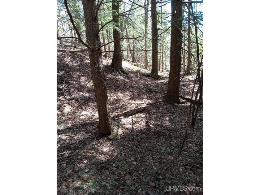 This 40-acre property is ready for your new home! The well and - Beach Acreage for sale in Ontonagon, Michigan on Beachhouse.com