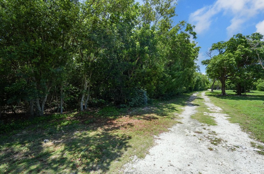 Experience breathtaking sunsets throughout the year on this - Beach Lot for sale in Lower Matecumbe Key, Florida on Beachhouse.com