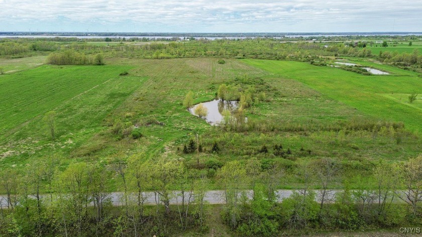Beautiful 22 Acre country parcel within walking distance of Lake - Beach Acreage for sale in Cape Vincent, New York on Beachhouse.com