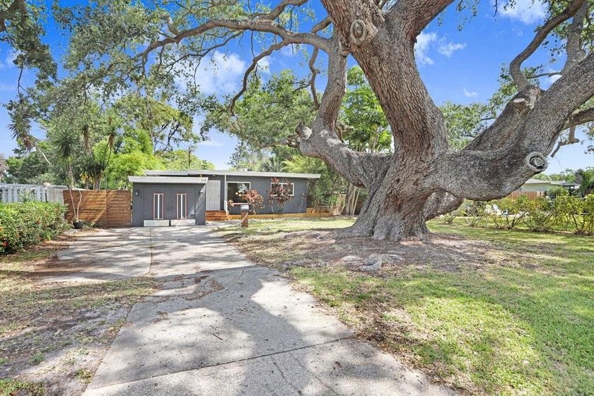 Nestled beneath a beautiful mature oak tree in the historic - Beach Home for sale in St. Petersburg, Florida on Beachhouse.com
