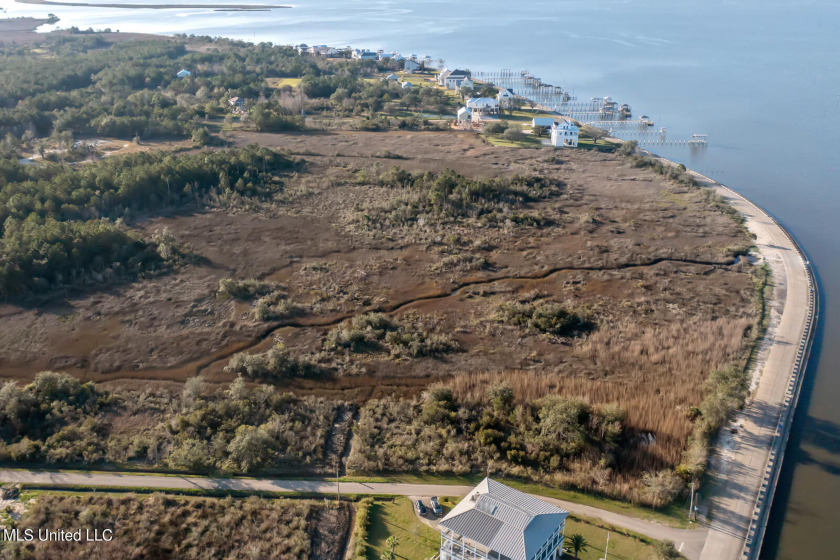 INCREDIBLE OPPORTUNITY to purchase 25+ acres directly on the Bay - Beach Acreage for sale in Bay Saint Louis, Mississippi on Beachhouse.com