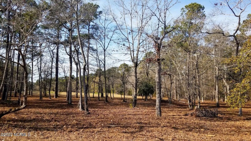 Premium golf course lot located on one of the areas finest - Beach Lot for sale in Shallotte, North Carolina on Beachhouse.com