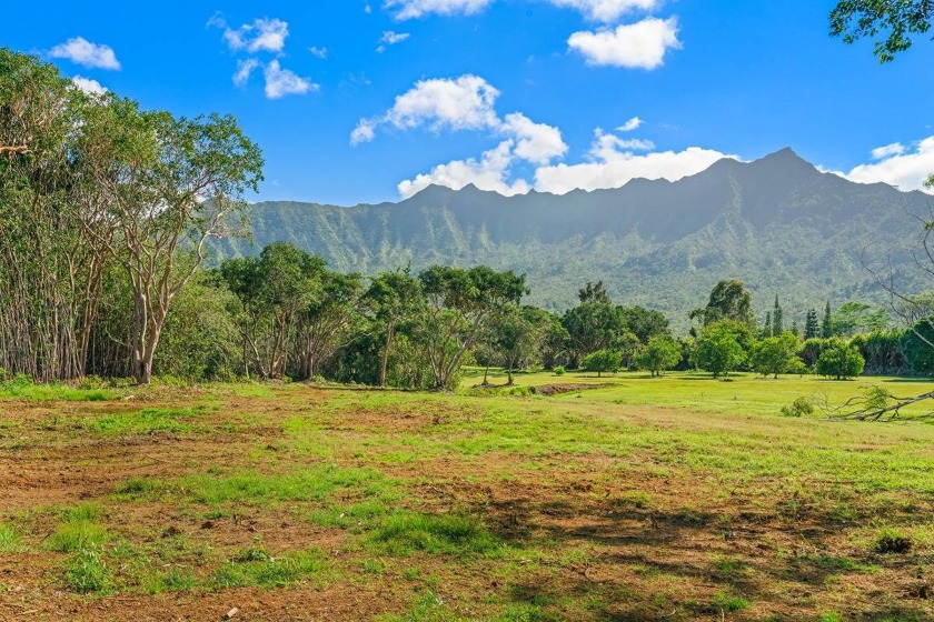Incredible opportunity to own 10 acres on the North Shore in the - Beach Acreage for sale in Kilauea, Hawaii on Beachhouse.com
