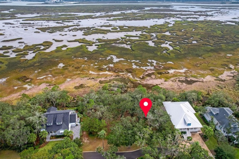 Immerse yourself in the tranquility of coastal living with this - Beach Lot for sale in Fernandina Beach, Florida on Beachhouse.com