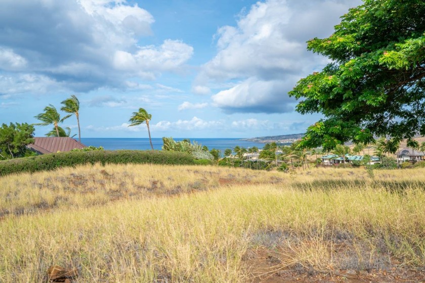 Discover a slice of paradise with this exclusive and rare - Beach Lot for sale in Kamuela, Hawaii on Beachhouse.com