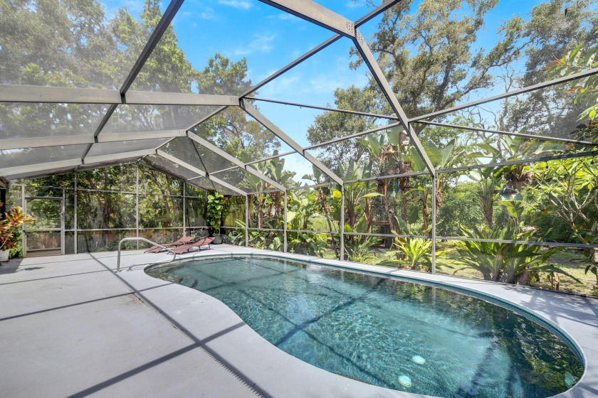 Palm Harbor Estate w/ Pool & Fruit Trees on Acre - Beach Vacation Rentals in Palm Harbor, FL on Beachhouse.com